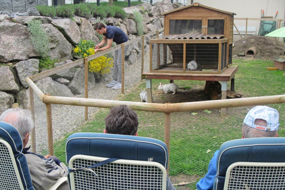 Menschen mit Demenz schauen den Hasen im Altersheim zu