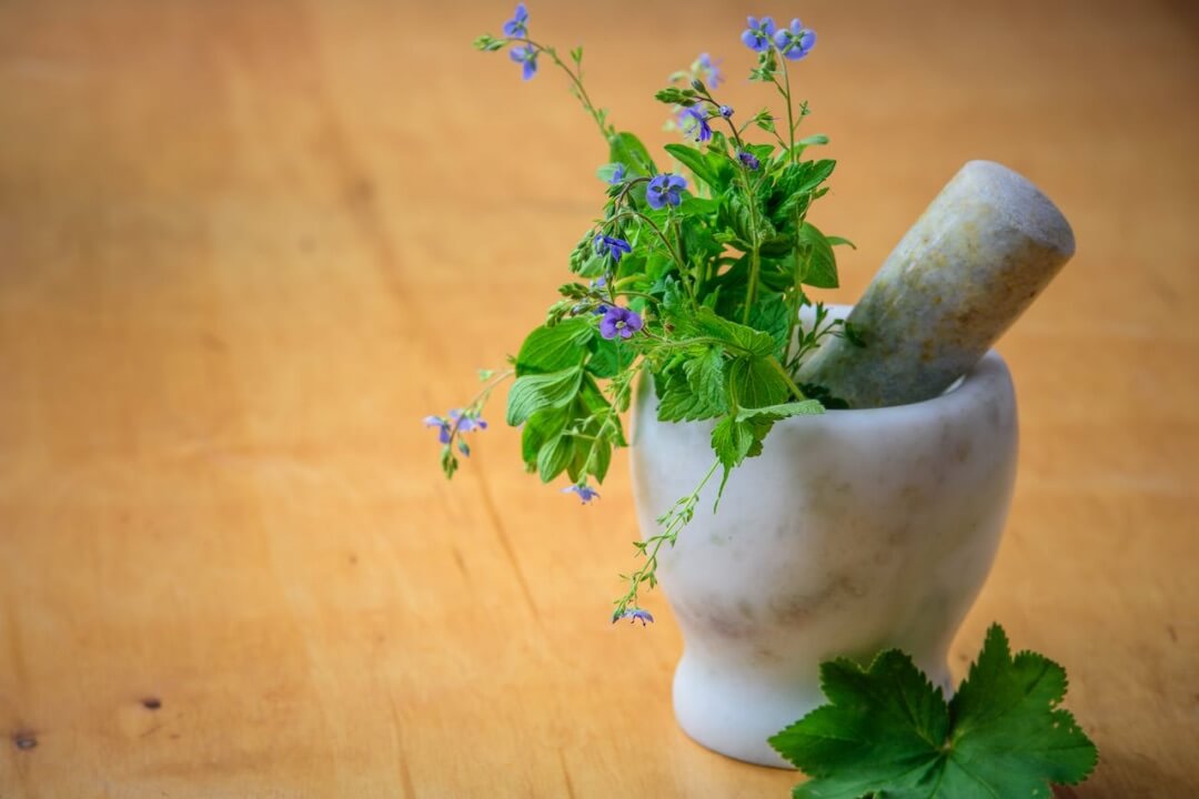 Kräuter verarbeiten im Kurs für Phytotherapie