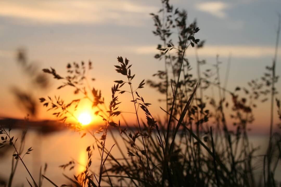 Selbstbestimmtes Sterben - Sonnenuntergang am See